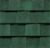 Hunter Green